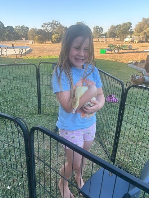 Animal nursery