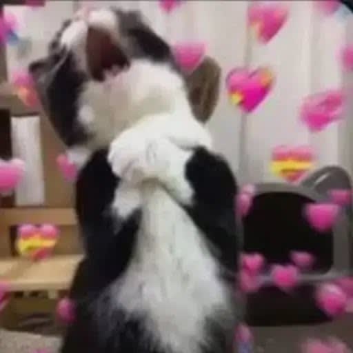 my heart writing this