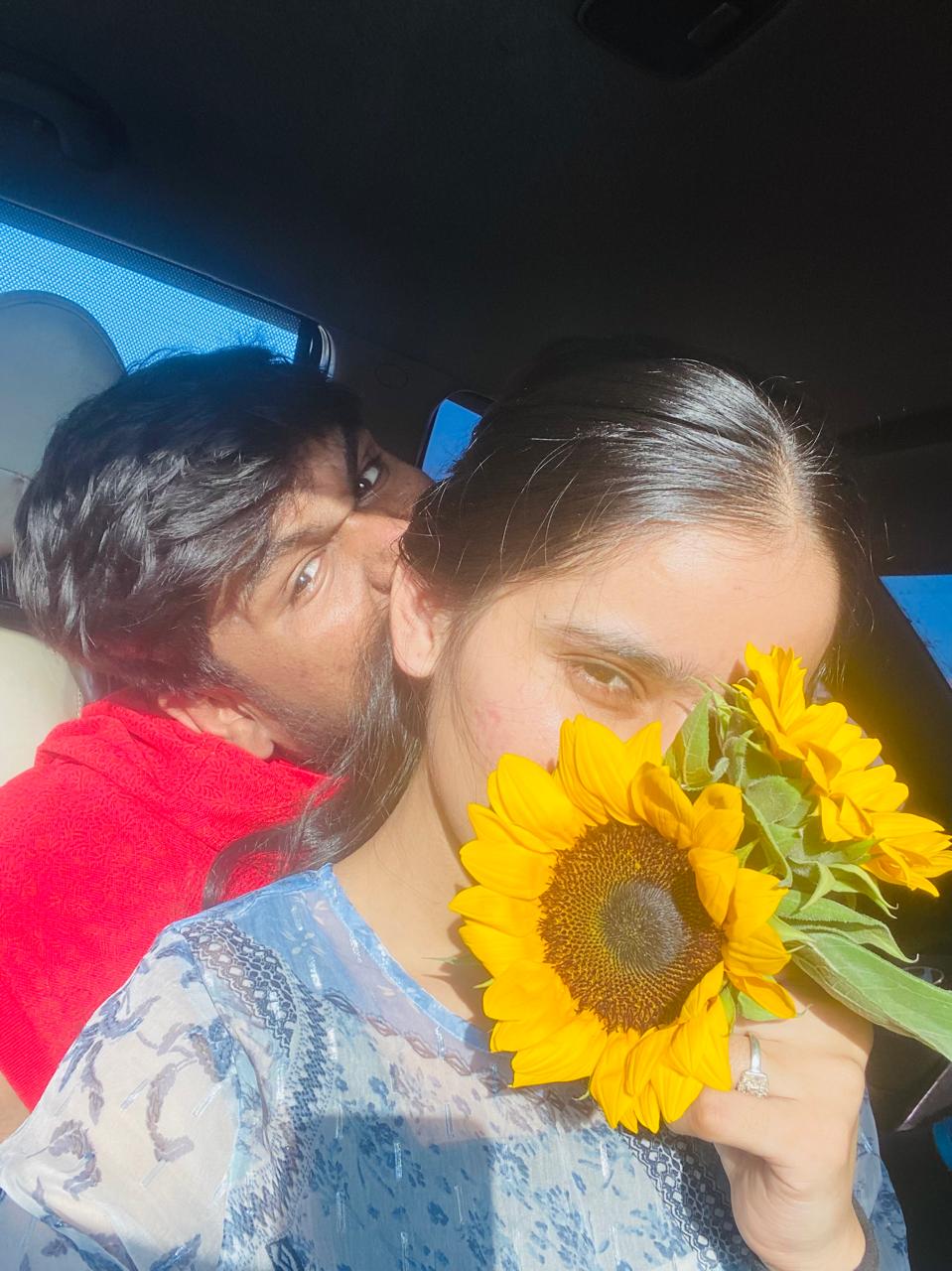 sunflower