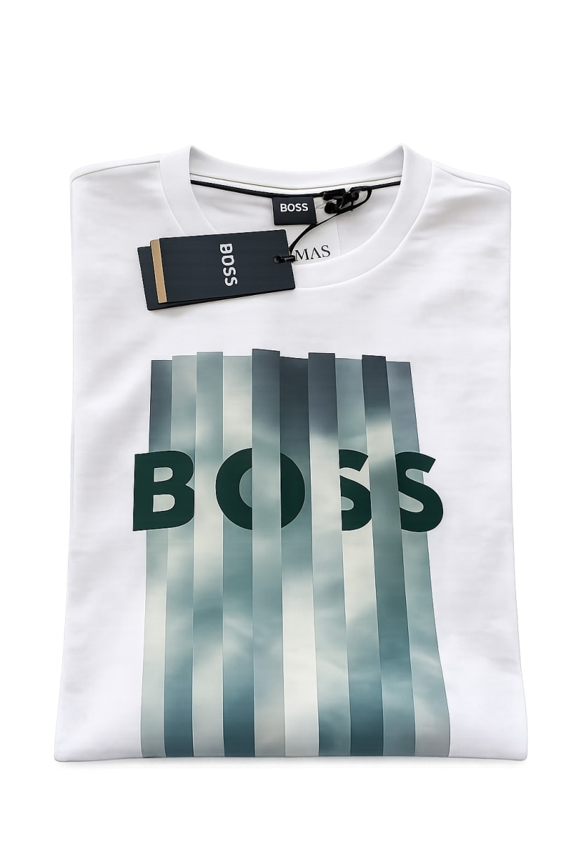 Boss logo verde 