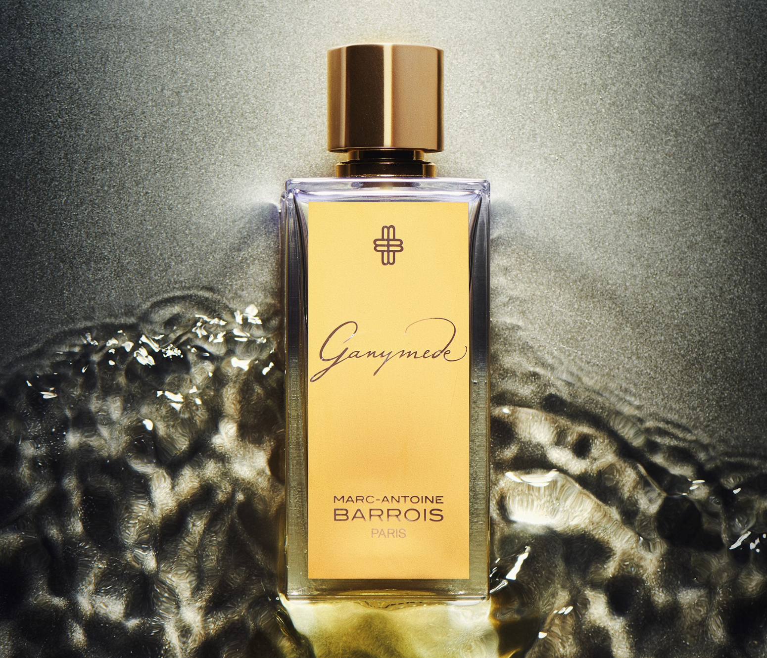 MarcAntoineBarroisGanymedeimg