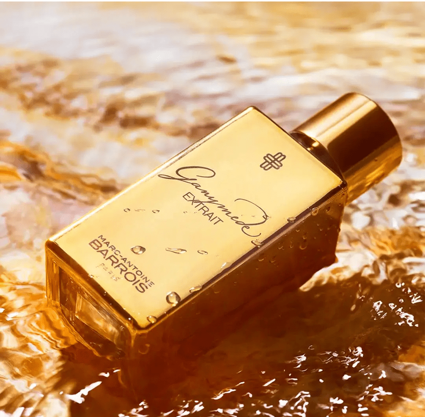 MarcAntoineBarroisGanymedeExtraitimg