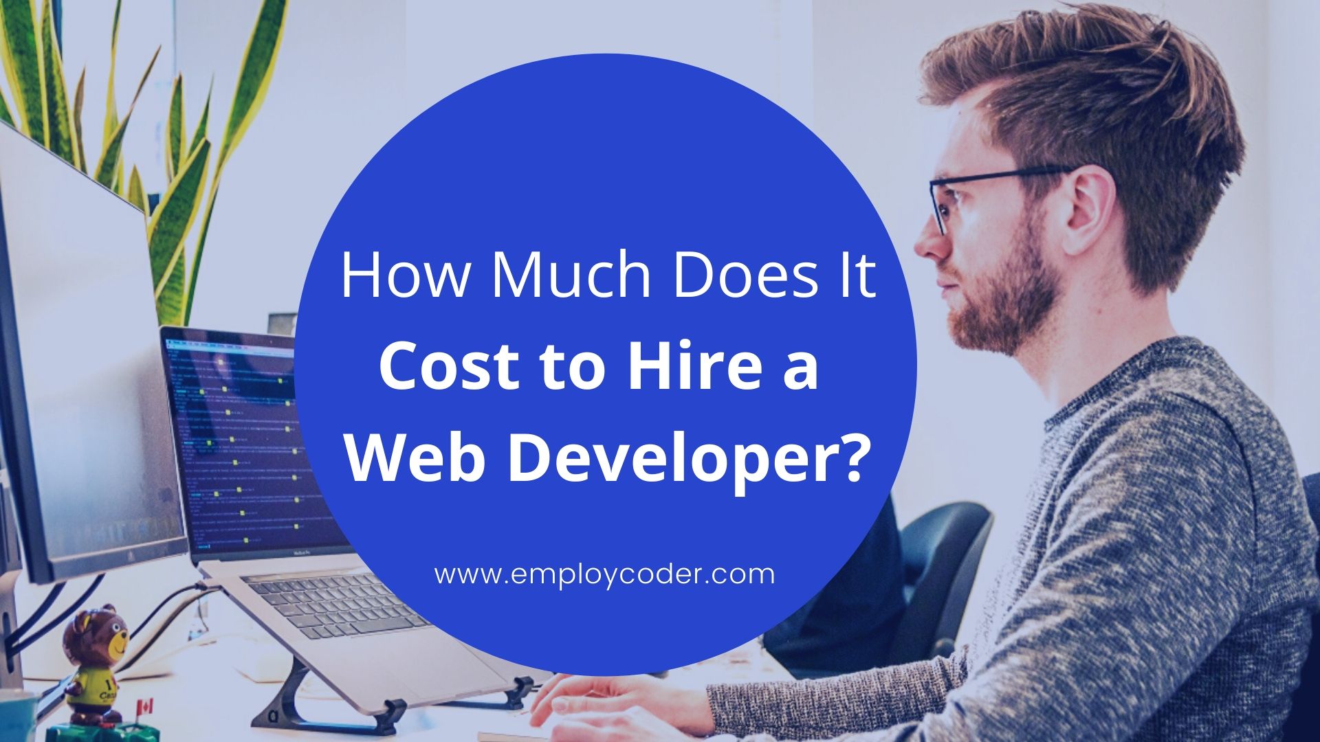 How Much Does it Cost to Hire a Web Developer?