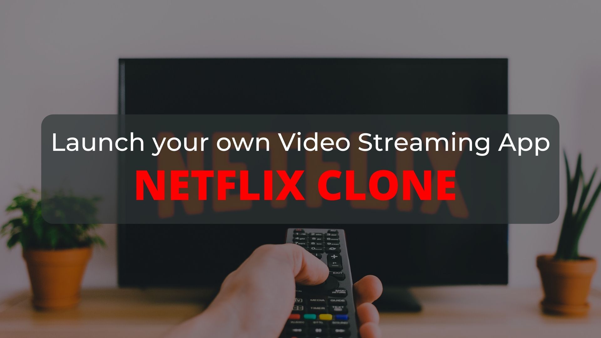 Launch your Own Video Streaming App - Netflix Clone