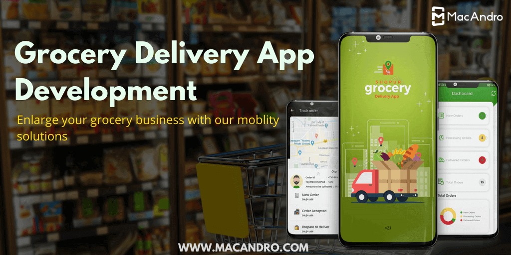 Grocery Delivery Business Model That You Need To Initiate a