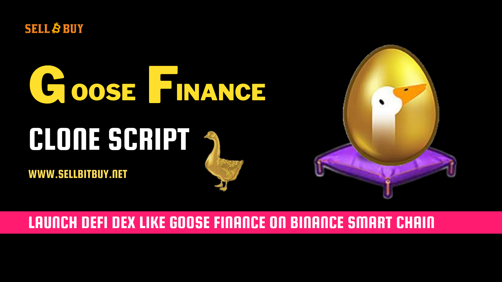 Guide to start Goose Finance Like DeFi Platform On BSC network