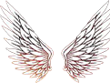 Icarus
