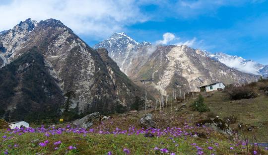 Yumthang Valley (Valley of Flowers)