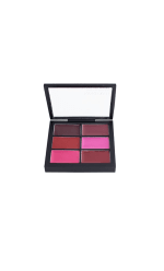 PRO LIP PALETTE