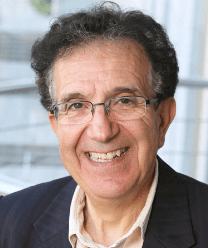 Taieb Hafsi