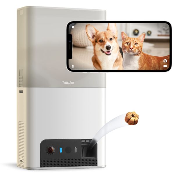 Petcube bites wifi pet clearance camera
