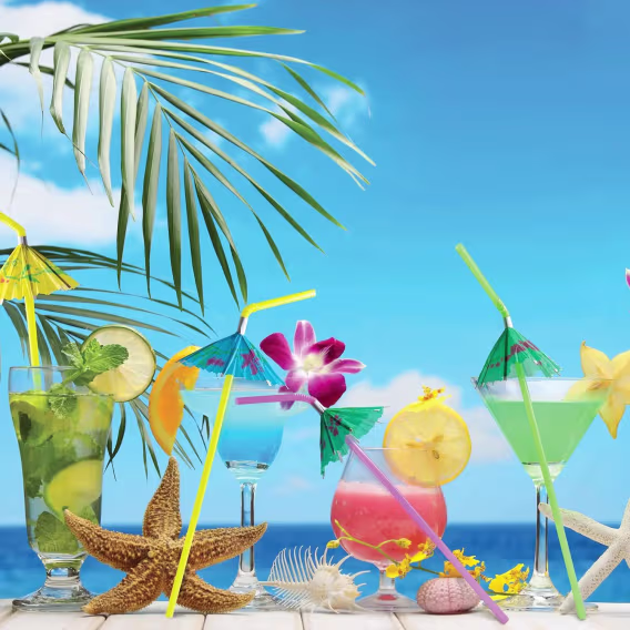 PREXTEX Şemsiye Pipet 200'lü