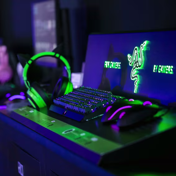 Razer Kitty Kedi Kulakları