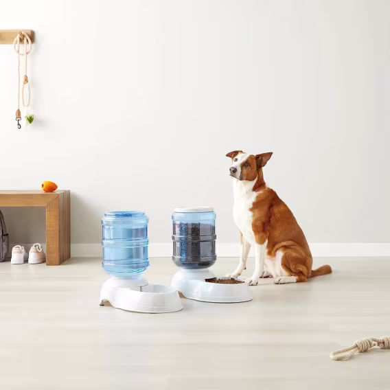 Amazon Basics Otomatik Köpek Kedi Su Sebili