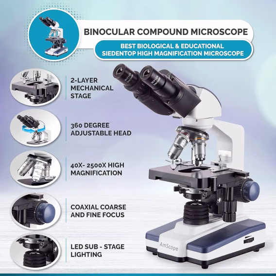 AmScope B120B Siedentopf Binoküler Bileşik Mikroskop