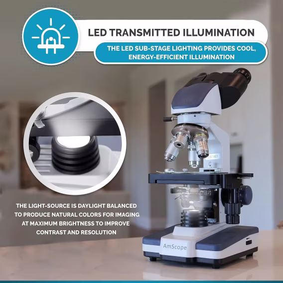 AmScope B120B Siedentopf Binoküler Bileşik Mikroskop