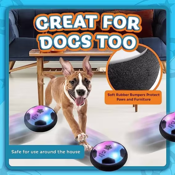 Let Loose Moose Ev İçin Futboll Topu