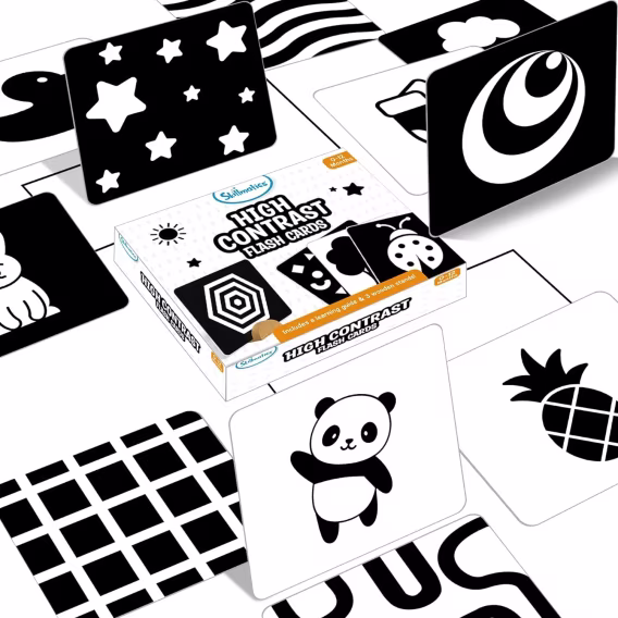 Skillmatics Büyük Flash Kartlar