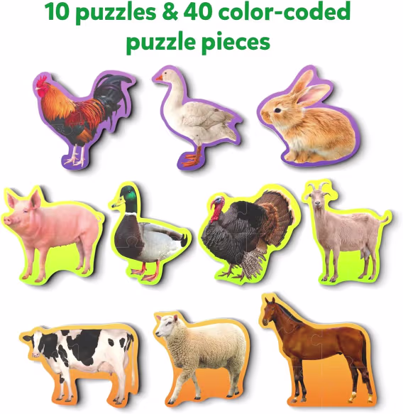 Skillmatics Adım Adım Yapboz  40 Parça