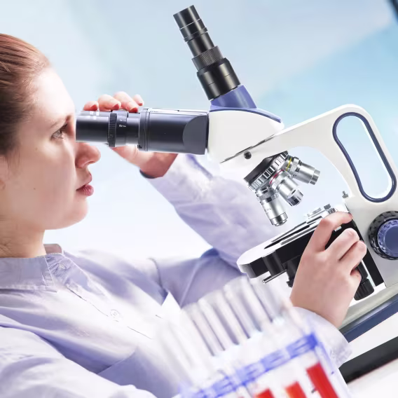 Swift SW380T 40X2500X Trinoküler Bileşik Laboratuvar Mikroskobu