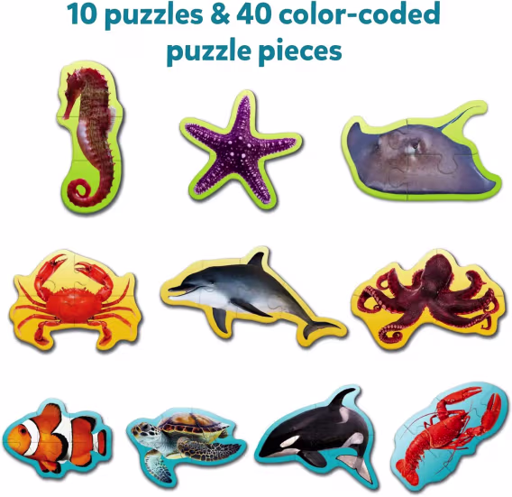 Skillmatics Adım Adım Yapboz  40 Parça