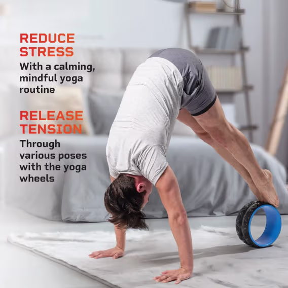 Lifepro Yoga Tekerleği 3'lü Sırt Seti