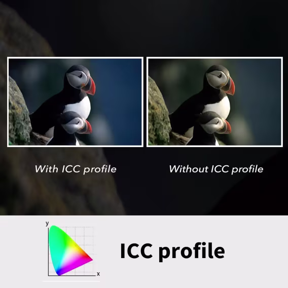 Plustek OpticFilm 8200i AI  35mm Film ve Slayt Tarayıcı