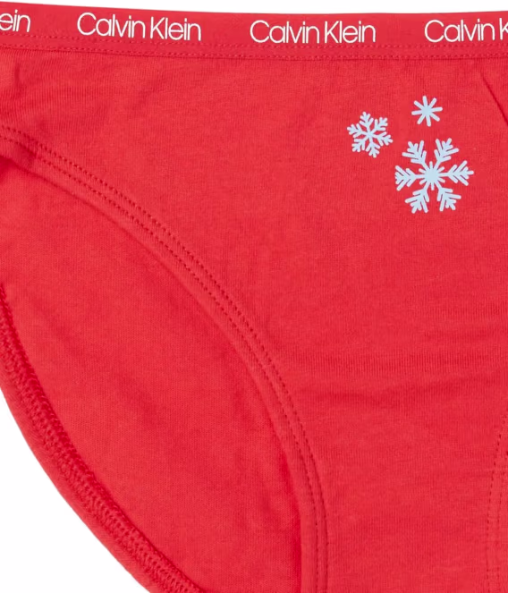 Calvin Klein Kız Çocuk İç Giyim Pamuklu Bikini Külot