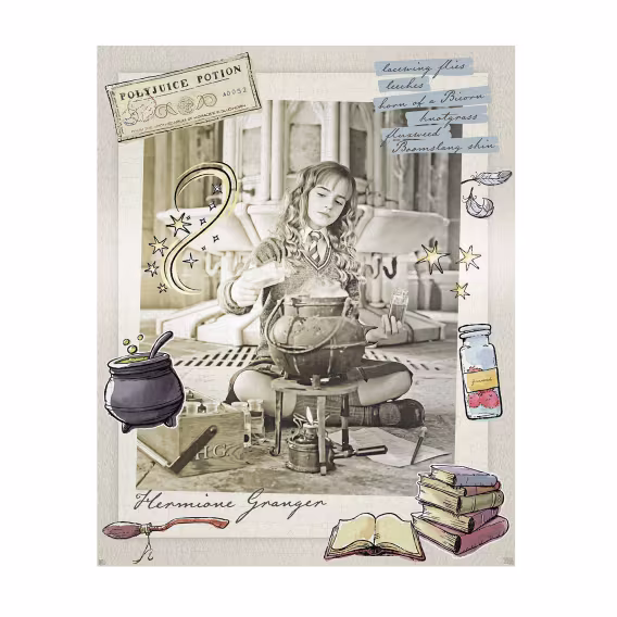 Paladone Harry Potter Quidditch Altın Snitch 1000 Parça Yapboz