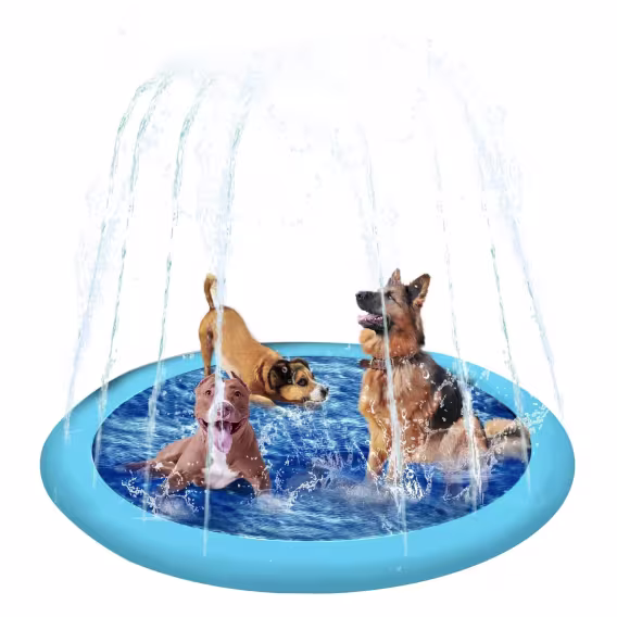 Carousel slide