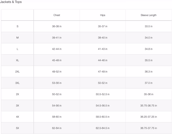 THE NORTH FACE Erkek Apex Bionic 3 Hoodie