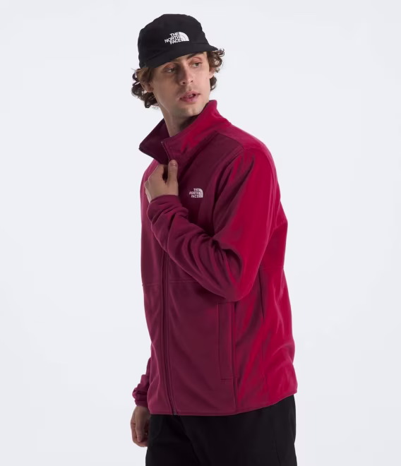 THE NORTH FACE Glacier Polar Erkek Ceket