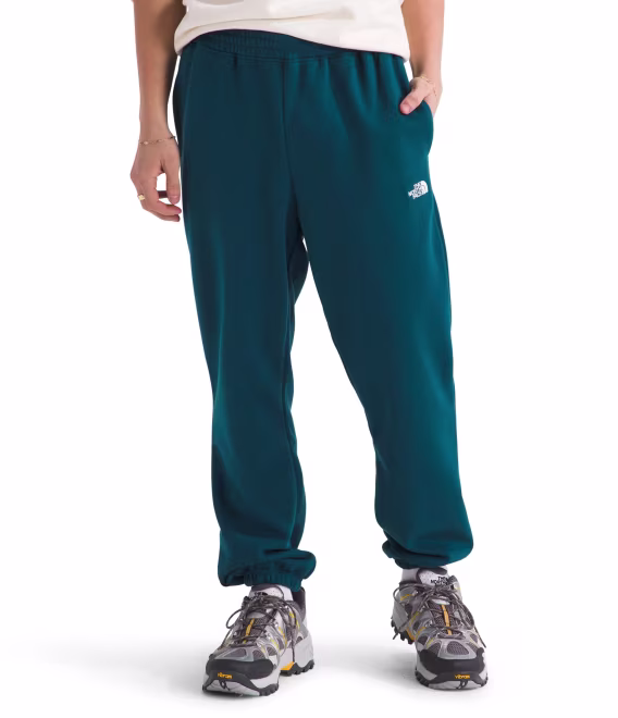 the-north-face-erkek-core-esofman-alti-v-841134