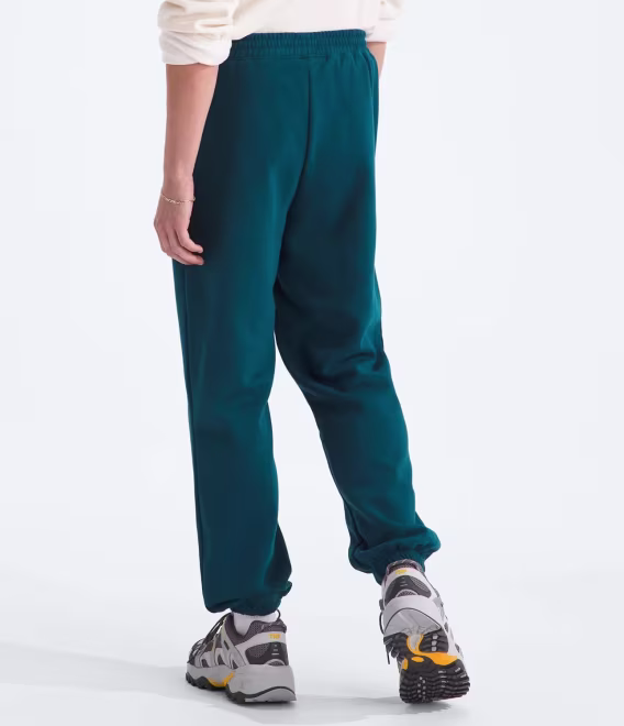 THE NORTH FACE Erkek Core Eşofman Altı