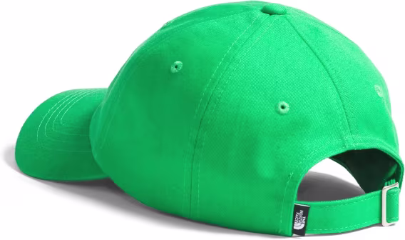 THE NORTH FACE Norm Şapka