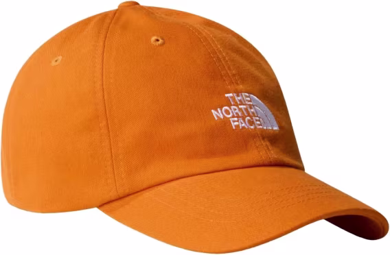 the-north-face-norm-sapka-v-923356