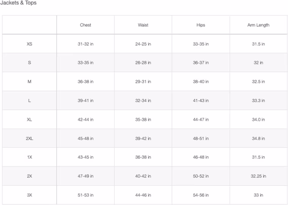 THE NORTH FACE Kadın Apex Bionic 3 Ceket