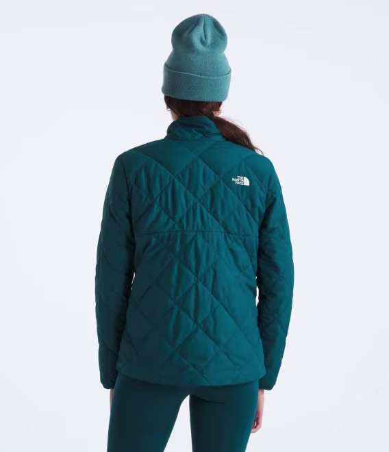 THE NORTH FACE Shady Glade Yalıtımlı Kadın Ceket