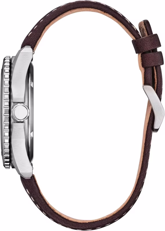 Citizen Erkek Gümüş Ton Paslanmaz Çelik Saat AW184009X