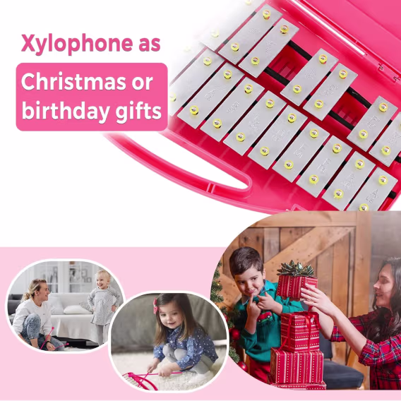 Eastrock Profesyonel Ksilofon