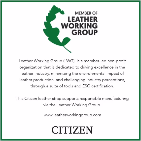 Citizen Erkek Klasik Eco Drive Saat AW123204A