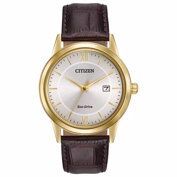 citizen-erkek-klasik-eco-drive-saat-aw1232-04a-v-736845