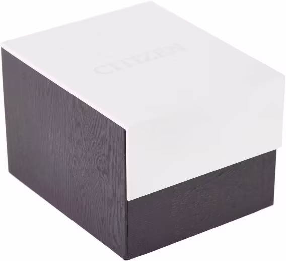 Citizen Quartz Paslanmaz Çelik Erkek Saat AG834651A 