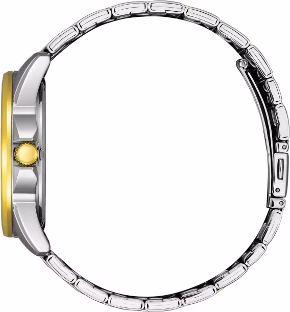 Citizen Quartz Paslanmaz Çelik Erkek Saat AG834651A 