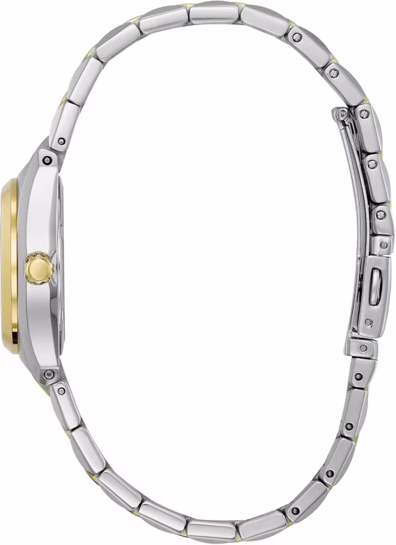 Citizen Kadın Corso Klasik Saat EW229054L