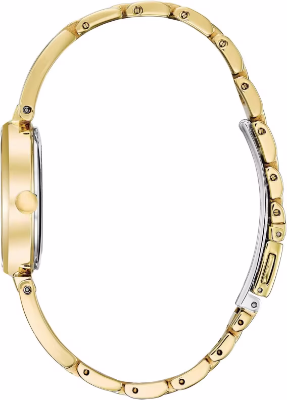 Citizen Eco Drive Axiom Kadın Saati EM063051D