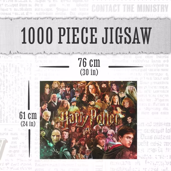 Paladone Harry Potter Quidditch Altın Snitch 1000 Parça Yapboz