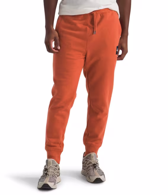 the-north-face-erkek-core-jogger-v-928240