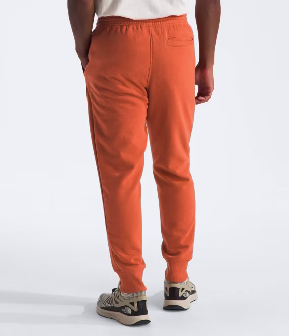 THE NORTH FACE Erkek Core Jogger