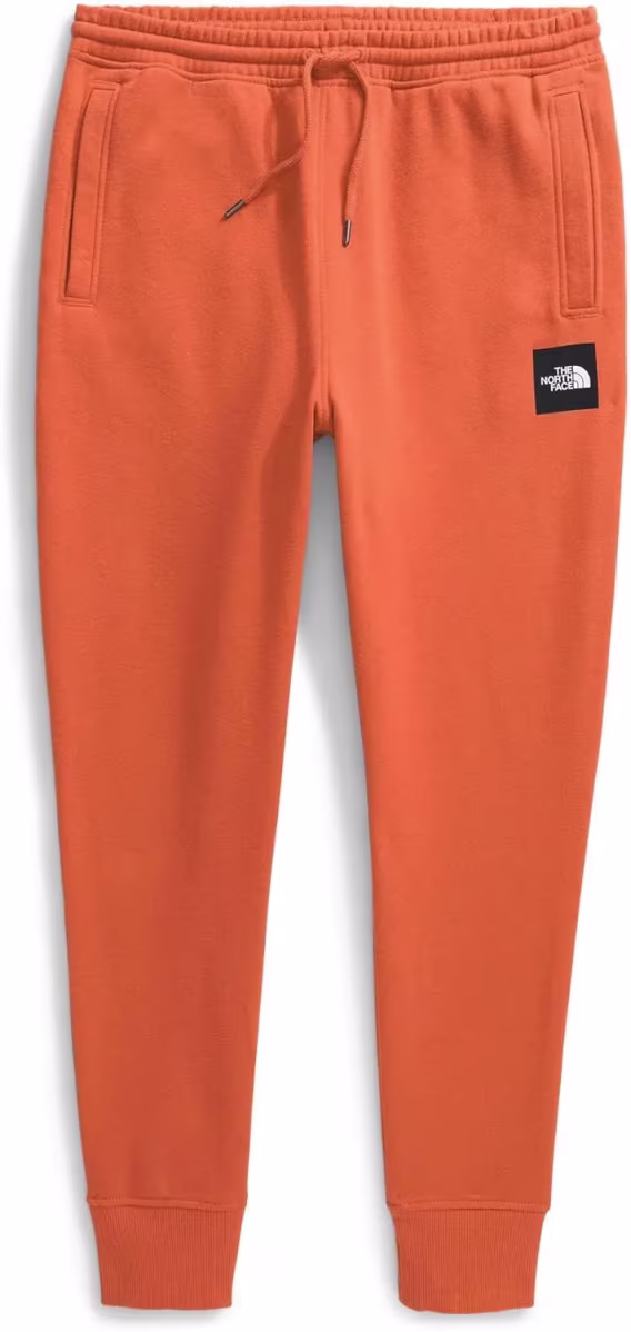 THE NORTH FACE Erkek Core Jogger